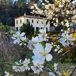 Séjour à la campagne Sa Maniga Bunyola